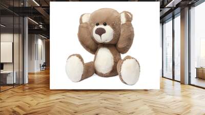 Cute teddy bear isolated on white. Child`s toy Wall mural